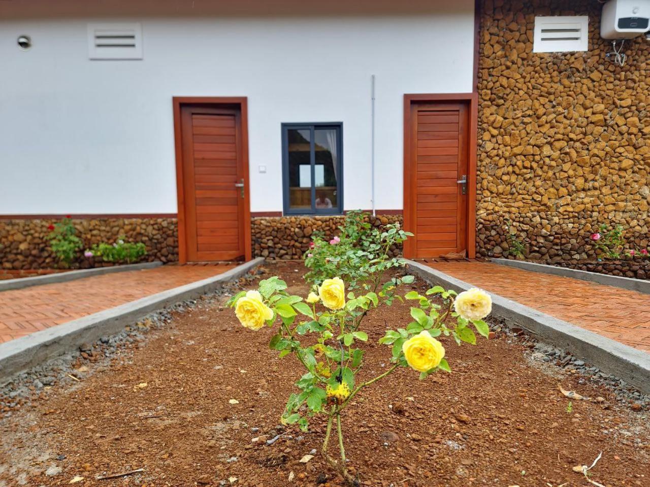 Lodge Pida Coffee Farm *