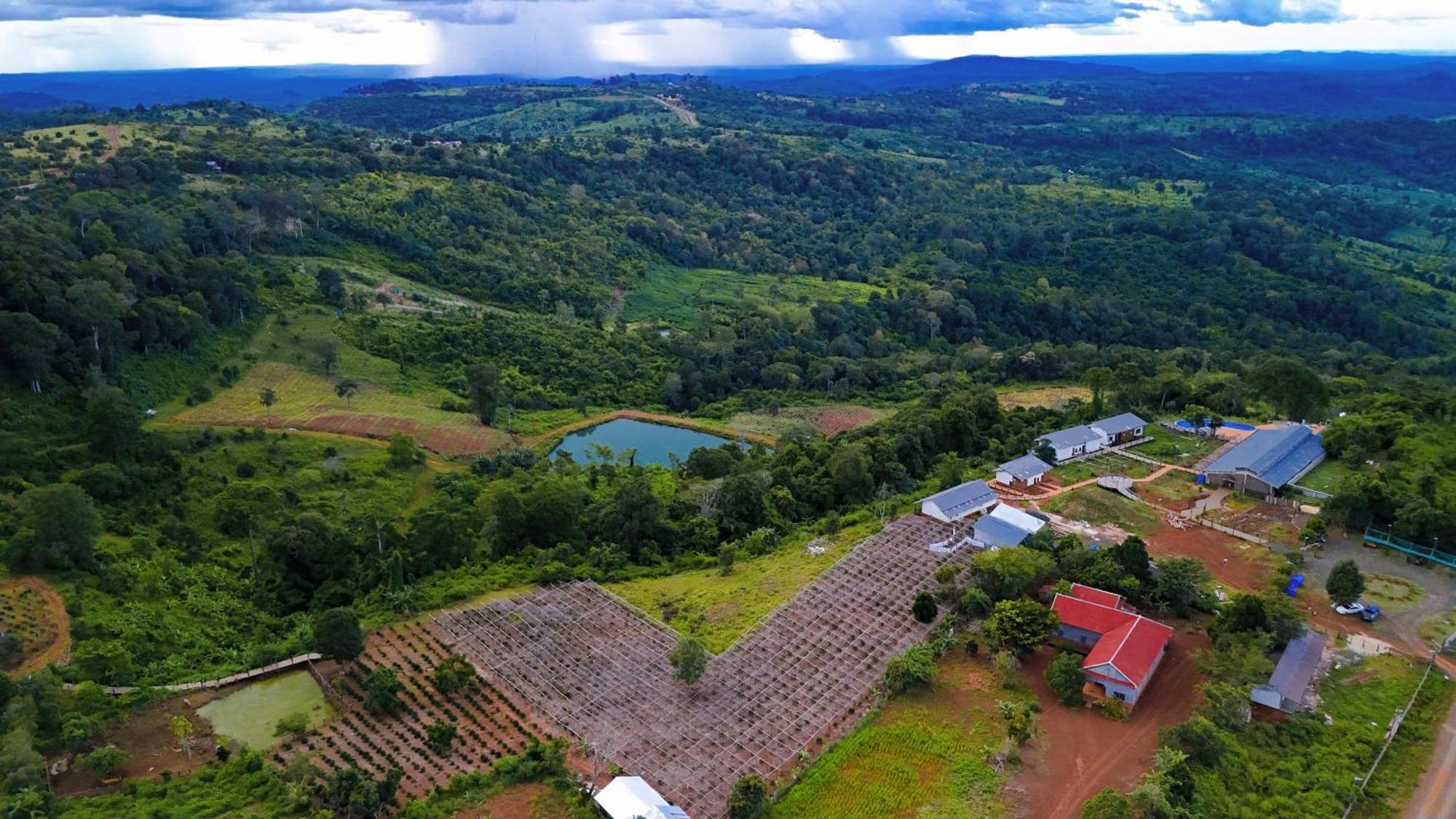 Lodge Pida Coffee Farm