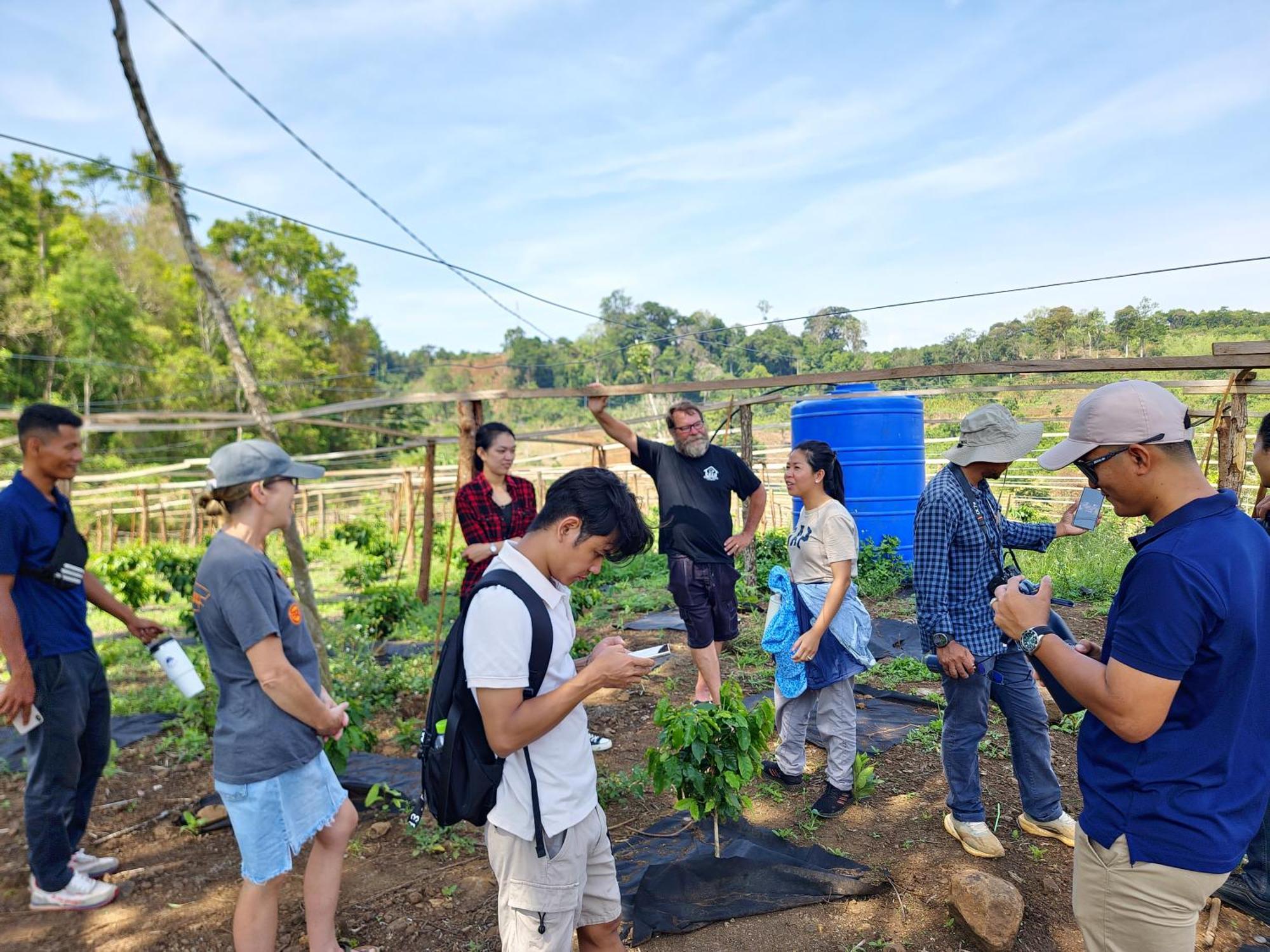 Pida Coffee Farm *