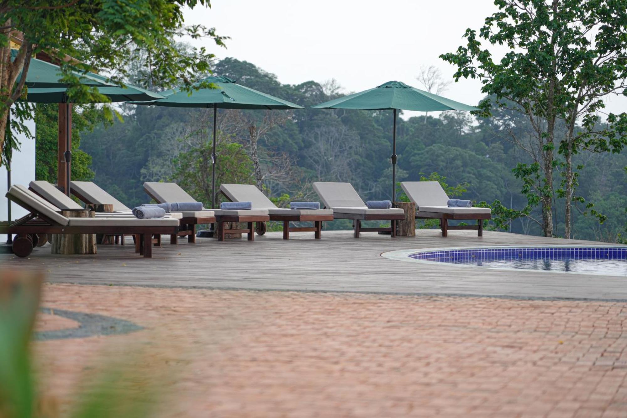 Pida Coffee Farm
